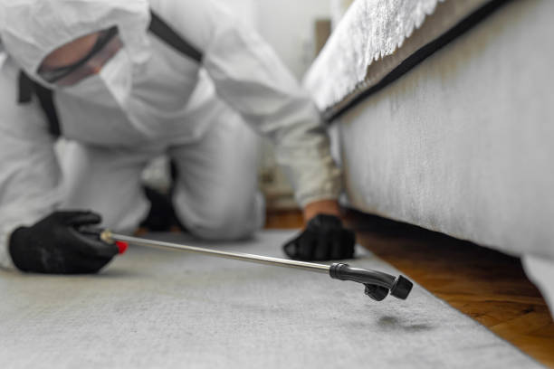 Professional Cockroach Control technician working in Laurium, MI