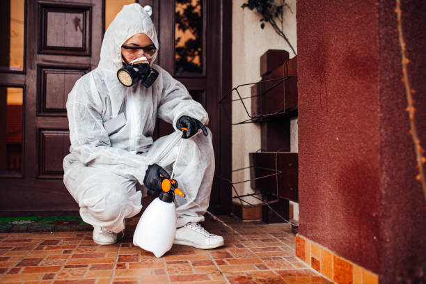 Reliable Cockroach Control contractor in Laurium, MI by Nex Pest Control